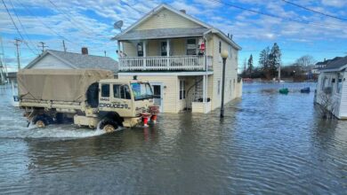 hampton-beach-flooding people need to care for children and elders florida govrment provide security for people at beache