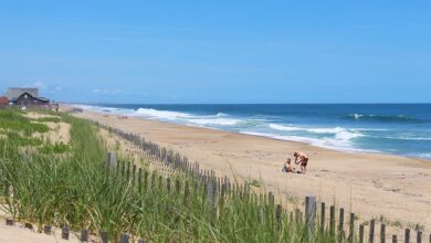 north-carolina-beaches-map north carolina beaches offer planty affordable attractions and dianing option for frugle